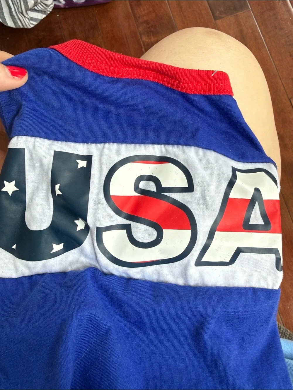 Michaels USA Blue Red & White Patriotic Dog T-Shirt, size Small